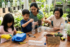 Jadi Barang Estetik: Ini 7 Inspirasi Kreatif Bikin Peralatan Rumah Tangga Serbaguna dari Botol Plastik Bekas