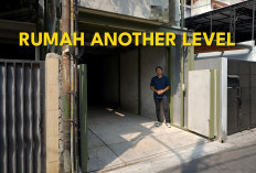 Rahasia Rumah Bernapas di Lahan Padat! Home Tour Rumah Lebar 3,5 Meter bareng PSA Studio