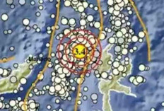 Dari NTT hingga Papua, Gempa Kecil Muncul Beruntun Pagi Ini