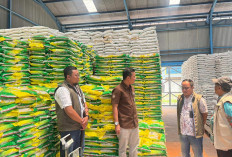 Bulog Lubuk Linggau Jamin Ketersediaan Stok Beras 6 Bulan Kedepan 