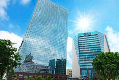 Lebih dari 2 Dekade Melantai di Bursa Efek Indonesia, Harga Saham BBRI Telah Naik 48 Kali