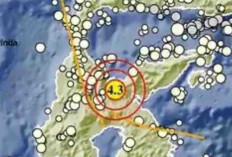 Gempa Magnitudo 4,3 Guncang Poso Pagi Ini, Tak Berpotensi Tsunami