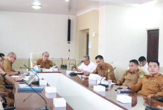 Pemkab Muba Siap Kawal Program Listrik Perdesaan 