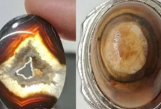 Misteri Batu Akik Sulaiman: 7 Khasiat Gaib yang Konon Bikin Energi Gelap Tak Berani Mendekat