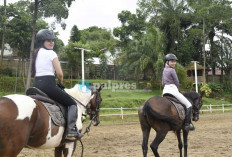 Serasa di Jogja! Resto Unik di Palembang Ini Punya View Berkuda dan Bangunan Joglo Autentik
