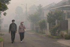 15 Daerah Sumsel Diperkirakan Berudara Kabur Hari Ini, Pagar Alam Diguyur Hujan
