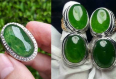 Jangan Anggap Sepele! Batu Akik Lumut Konon Menyimpan Kekuatan Mistis Tersembunyi
