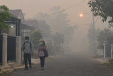 Prakiraan Cuaca Sumsel Hari Ini: Udara Kabur Mendominasi, 2 Daerah Berpotensi Hujan