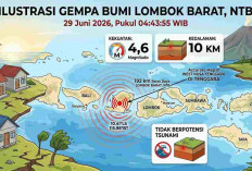 Gempa Beruntun Guncang Indonesia Pagi Ini, Lombok Barat Catat Magnitudo Terkuat 4,6