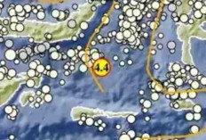 Gempa Magnitudo 4,4 Guncang Tutuyan Sulut, Tak Berpotensi Tsunami
