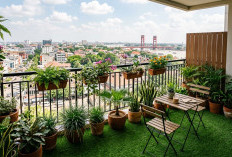 Balkon Kosong? Intip 10 Inspirasi Tanaman Rambat Paling Estetik untuk Mempercantik Tampilan Rumah