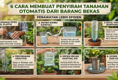 Tidak Perlu Alat Mahal: 6 Cara Kreatif Bikin Penyiram Tanaman Otomatis dari Barang Bekas Rumah Tangga
