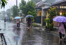 Prakiraan Cuaca Sumsel Sabtu 19 September 2026: Waspada! Hujan Mengintai 11 Daerah Ini