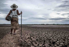 Siap-siap! Musim Kemarau 2026 Datang Lebih Awal, Puncaknya Agustus Mendatang