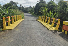 Tampil Beda dan Estetik! Jembatan di Musi Rawas Kini Dihiasi Motif Batik, Pengendara Makin Nyaman