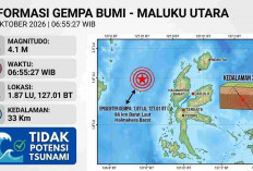 Gempa M4,1 di Maluku Utara, Rentetan Gempa Kecil Terjadi di NTT Pagi Ini