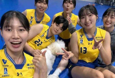 Na Hyun-soo Tampil Gacor, Hyundai Hillstate Punya Opsi Baru Selain Megawati Hangestri?