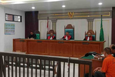 Kasus 40 Ton Batubara Ilegal Bergulir di PN Palembang, Direktur CV Jadi Terdakwa