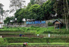 Jangkau 5.245 Desa BRILiaN, BRI Perluas Dukungan bagi Pengembangan Ekonomi Desa