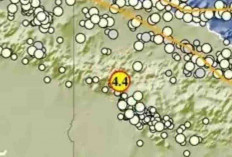 Gempa Magnitudo 4,4 Guncang Pegunungan Bintang pada Kedalaman 207 Km, Tak Berpotensi Tsunami