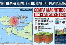 Gempa Magnitudo 4,0 Guncang Teluk Bintuni Pagi Ini, BMKG Pastikan Tak Berpotensi Tsunami