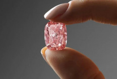 Gak Masuk Akal! Ini 8 Batu Akik Termahal 2026, Satu Butirnya Bisa Beli Rumah