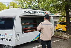 Edukasi Publik tentang Pertambangan Berkelanjutan, PTBA Dukung Film Dokumenter 'The Mind Journey'