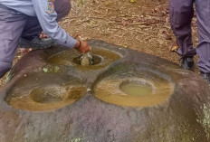 Ditemukan di Atas Bukit, Inilah Penampakan Situs Megalit Lesung Batu yang Berusia Ratusan Tahun