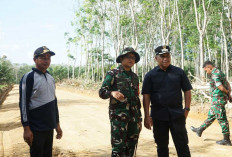 Akses Jalan Baru di Pematang Sukatani Mulai Terlihat, Ekonomi Warga OKI Bakal Terangkat