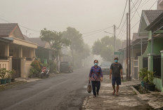 Cek Prakiraan Cuaca Sumsel 26 September 2026, 8 Wilayah Berpotensi Udara Kabur