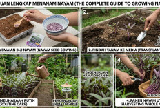 Praktis dan Hemat Lahan: Panduan Lengkap Cara Menanam Sayur Bayam di Polybag untuk Pemula agar Cepat Panen