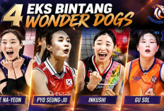 4 Bintang Wonder Dogs Absen Hadapi Hyundai Hillstate, Gu Sol Malah di Sisi Megatron