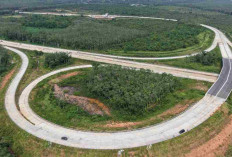 Proyek Tol Palembang–Betung Dipercepat, Progres Konstruksi Tembus 81,99 Persen