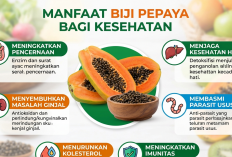 Jangan Dibuang Lagi! Ini Segudang Manfaat Luar Biasa Biji Pepaya untuk Kesehatan Tubuh
