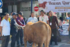 Kejari Palembang Tebar 500 Paket Daging Kurban, Ratusan Warga Sambut Antusias