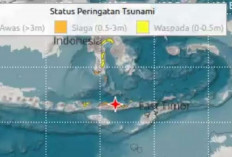 Gempa M7,7 Guncang NTT, Tsunami Terdeteksi hingga 0,94 Meter, Warga Berhamburan