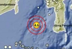 Gempa Magnitudo 4,6 Guncang Takalar, Tak Berporensi Tsunami