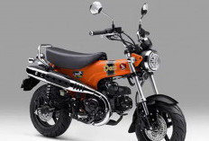 Honda Dax Makin Ganteng, 2 Warna Baru Ini Bikin Sulit Memilih, Harganya Tembus Rp84,5 Juta