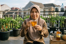 Kaya Enzim Bromelain dan Antioksidan, Ini 5 Khasiat Luar Biasa Air Rebusan Nanas untuk Imunitas Tubuh