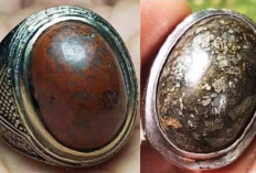 BIKIN GEGER! Ini Khasiat Mistis Batu Akik Badar Besi yang Konon Ditakuti Energi Negatif