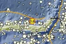 Gempa Magnitudo 5,0 Guncang Bolaang Mongondow Utara, Tak Berpotensi Tsunami