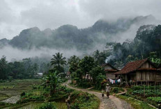 Update Cuaca Sumsel Hari Ini: Waspada! Palembang hingga Pagar Alam Berpotensi Udara Kabur