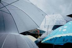 Palembang dan Sekitarnya Diprediksi Hujan Hari Ini, Cek Daftar Lengkap Wilayah Terdampak