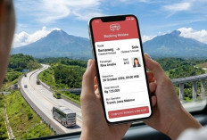 Menikmati Keindahan Alam Nusantara Melalui Rute Bus Paling Panoramik di Indonesia 