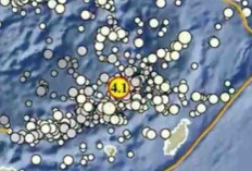 Gempa Magnitudo 4,1 Pagi Ini Guncang Maluku Tenggara Barat, Tak Berpotensi Tsunami