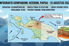 Rentetan Gempa Terjadi Dini Hari, Keerom Papua M4,8 dan Ruteng NTT Berkali-kali