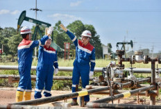 PHE Terus Menjaga Ketahanan Energi Nasional di Usia 19 Tahun dengan Berbagai Cara, Salah Satunya Ini? 