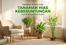 3 Tanaman Hias Pembawa Keberuntungan dan Kekayaan yang Wajib Ada di Rumah