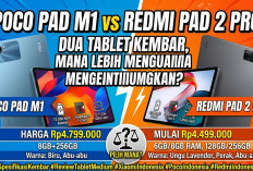 Bingung Pilih POCO Pad M1 atau Redmi Pad 2 Pro yang Spesifikasinya Nyaris Identik? Ini Perbedaannya
