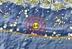 Gempa Magnitudo 4,6 Baru Saja Guncang Kuta Selatan, Tak Berpotensi Tsunami
